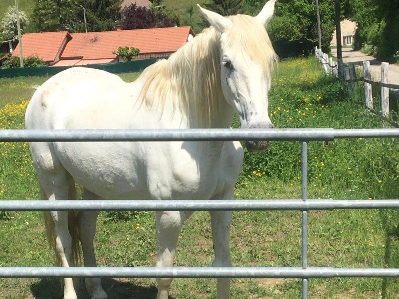 My Little Sweet Home Colombe  Εξωτερικό φωτογραφία